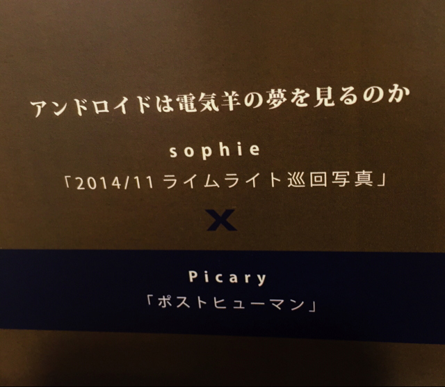 sophie x picary